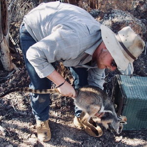 UNE research graduate Deane Smith with small marsupial in the field